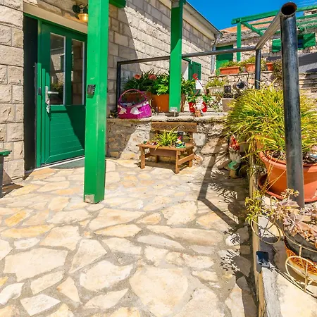 House Moj Mir Nyaraló *