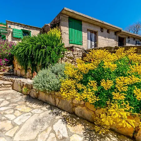 House Moj Mir Nyaraló